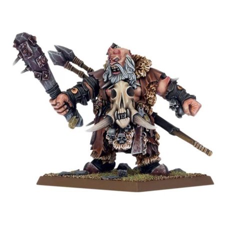 Огр вархаммер ФБ