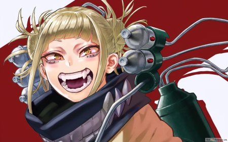 Химико тога