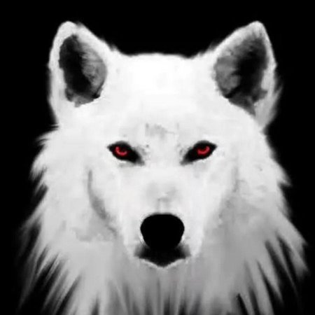 Белые волки