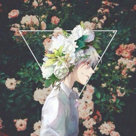 Аниме Эстетика