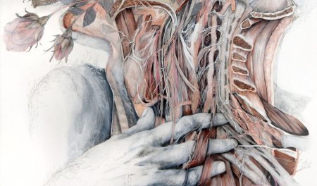 Художник Nunzio paci