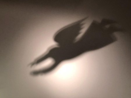 Тени ангелов