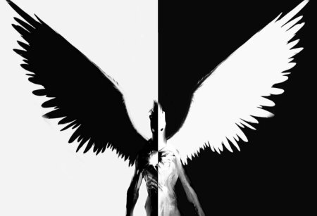 Черное и белое крыло