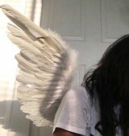 Крылья ангела Эстетика