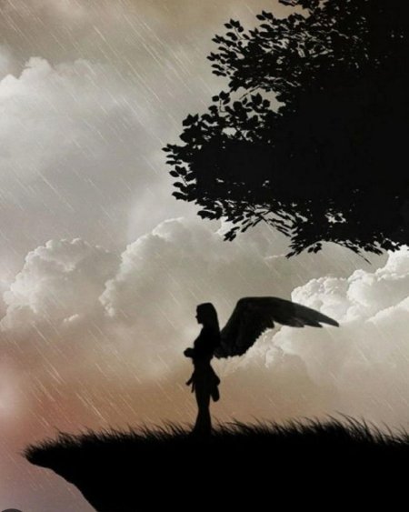 Крылья тени