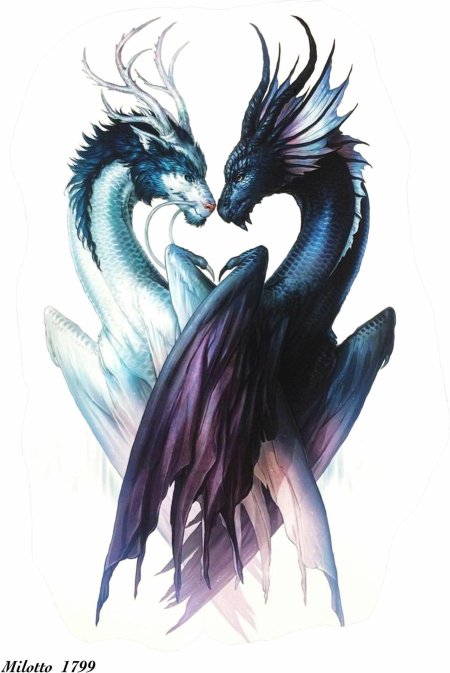 Красивый дракон