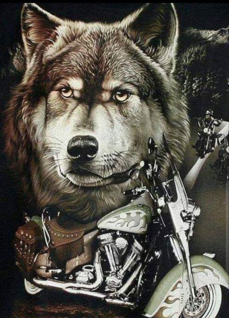 Волк Харли Дэвидсон