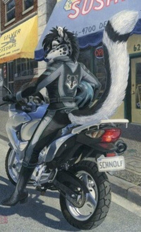 Фурри на мотоцикле