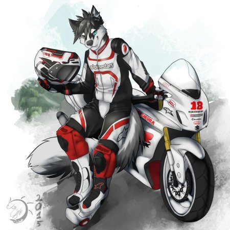 Фурри на мотоцикле