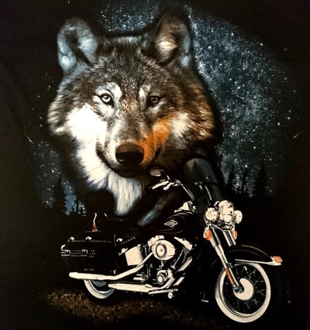 Волк на мотоцикле
