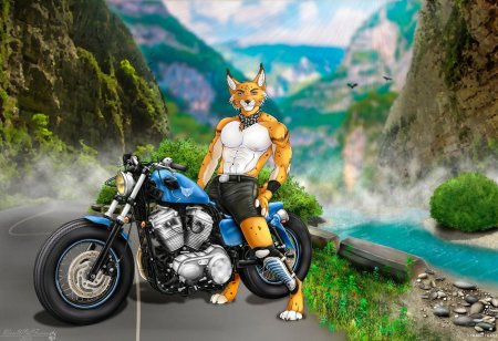 Фурри на мотоцикле