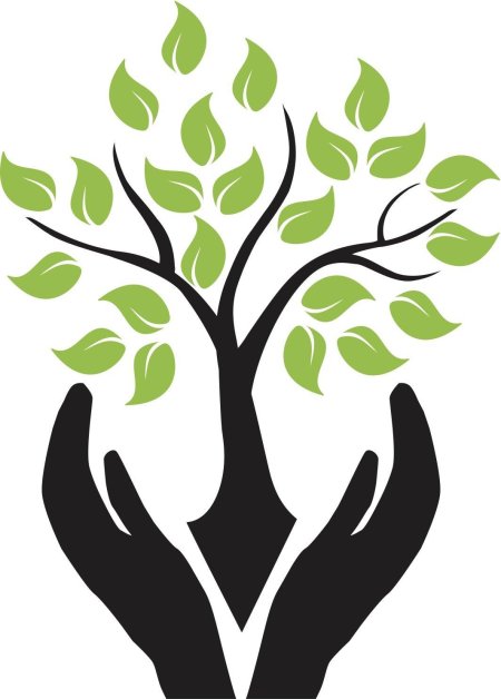 Эмблема дерева