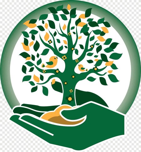 Дерево символ