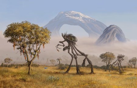 Ксенобиология разумные существа