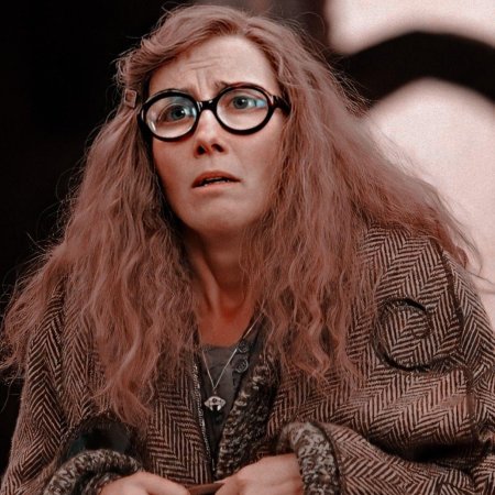 Мисс Бербич Гарри Поттер