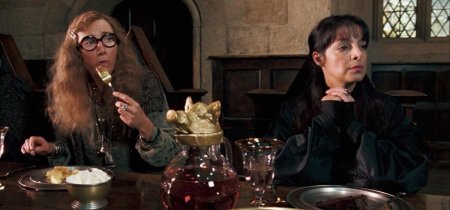 Мадам пинс гарри поттер