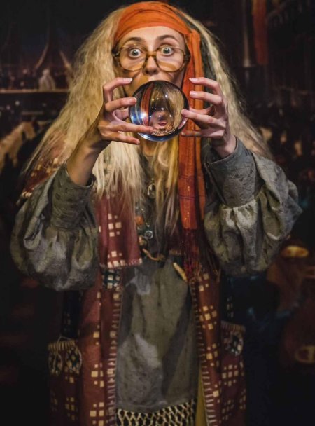 Профессор трелони из гарри