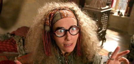 Профессор трелони из гарри