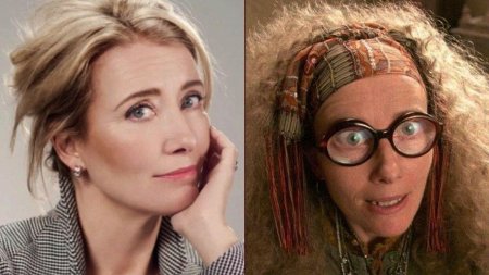 Эмма томпсон профессор трелони