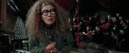 Профессор трелони из гарри поттера