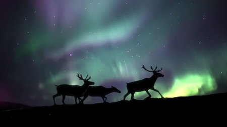 Чум тундра Северное сияние