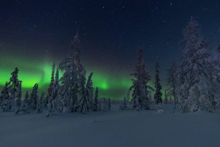 Северное сияние Ямал Салехард