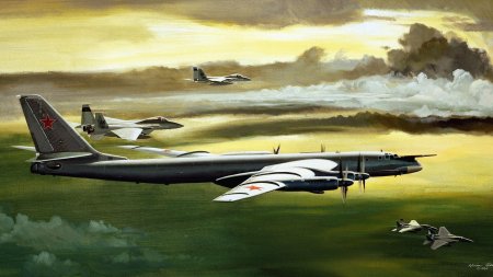 Бомбардировщик ту-95 арт