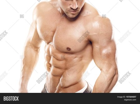 Культуристы торс
