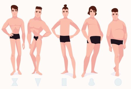 Разные телосложения мужчин