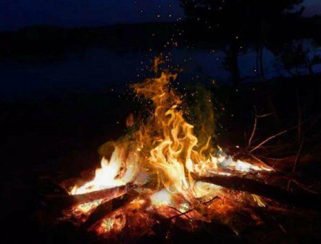 Костер в лесу