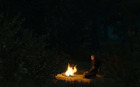 Ведьмак 3 арт у костра