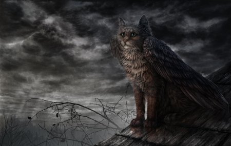 Мистические кошки