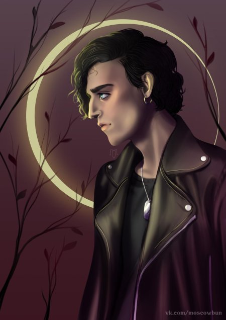 Вишня тени сентфора