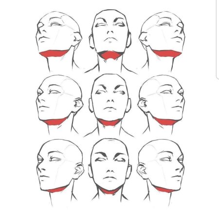 Лицо с разных ракурсов