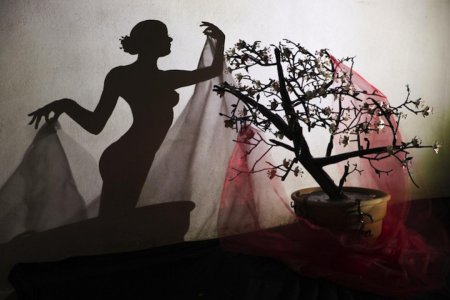 Теодосио Ауреа