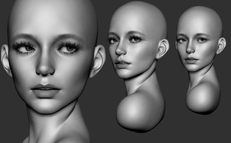 Референсы лица