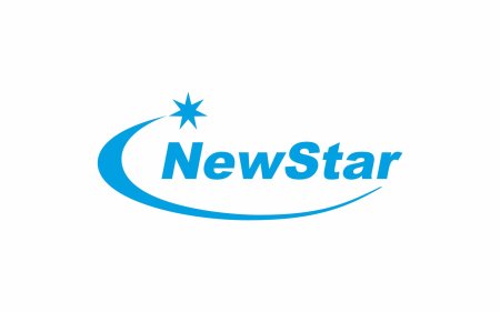 New star логотип