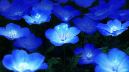 Блуе Фловер