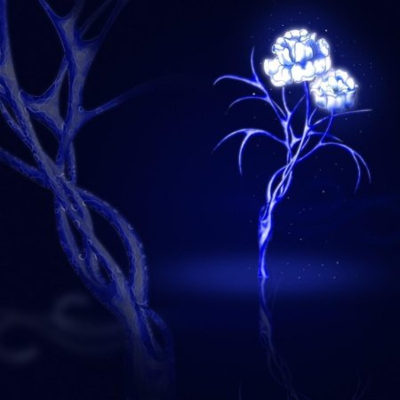 Светящиеся цветы
