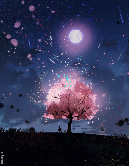 Дерево ночью