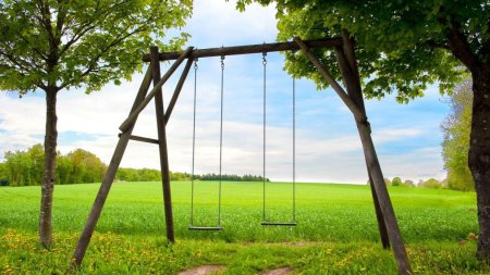 Фон природа и качели