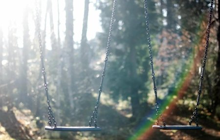 Качели в лесу