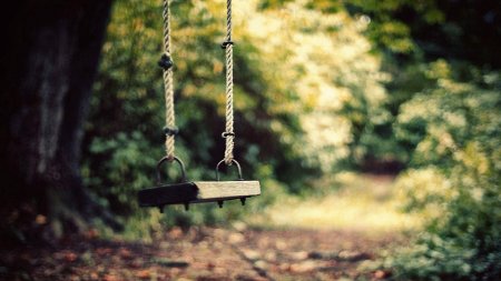 Качели в лесу