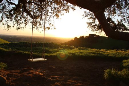 Пейзаж качели на дереве