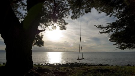 Качели на берегу озера