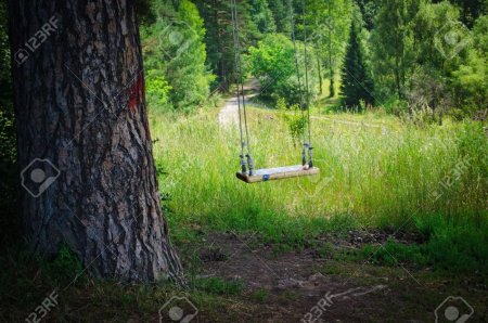 Качели между деревьями