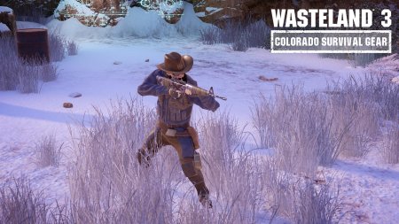 Wasteland 3 Colorado collection