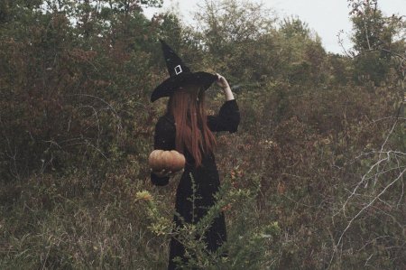 Лесная ведьма Эстетика