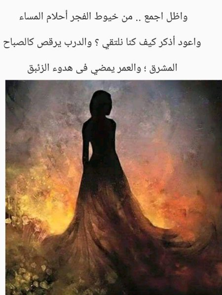 Силуэт девушек