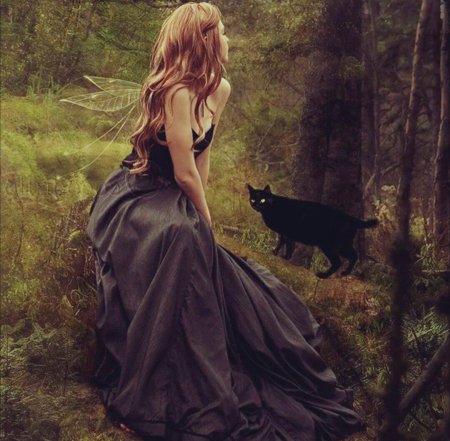 Девушка в черном платье